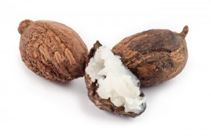 three shea nuts, one is filled with butter.